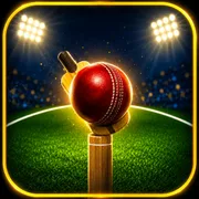 5TO20 Cricket icon