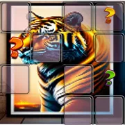 Animal Tiger Memory Match icon