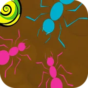 Ant Maze icon