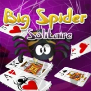 Big Spider Solitaire icon