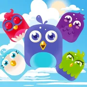 Bird Match Master icon
