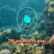 Bubble Fish Sea Adventure Game icon