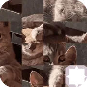 Cat Puzzle icon