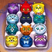 Cat Sorter Puzzle icon