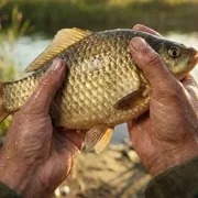 Chill Fishing 2 New Horizons icon