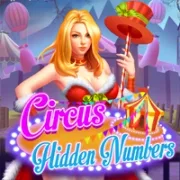 Circus Hidden Numbers icon