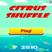 Citrus Shuffle icon