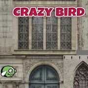 CrazyBirdCity icon