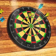 Darts Pro Multiplayer icon