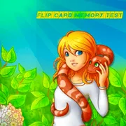 Flip Card Memory Test icon