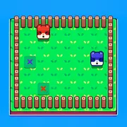 Foxes Together icon
