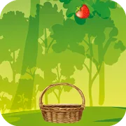 Fruit Fetch icon
