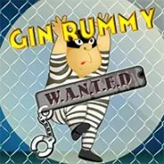 Gin Rummy icon