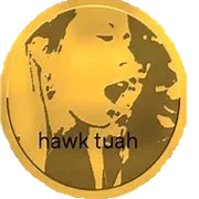 Hawk Tuah Clicker icon