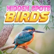Hidden Spots - Birds icon