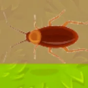 Insect Crusher icon
