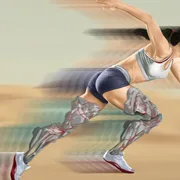 Lane Runner icon