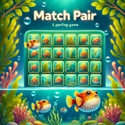 Match Pair icon