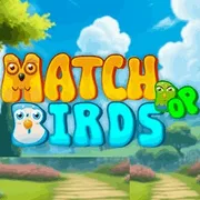 Match Pop Birds icon
