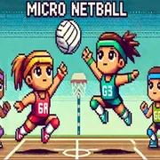 Micro Netball icon