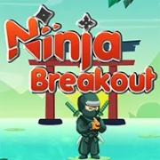 Ninja Breakout icon