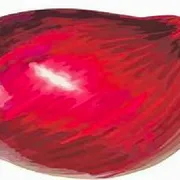 Onion icon
