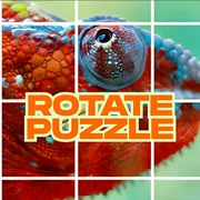 Rotate Puzzle icon