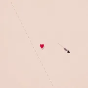 Save My Heart icon