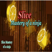 Slice Mastery of a Ninja icon