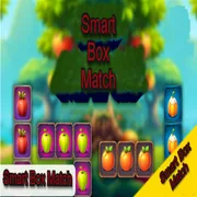 Smart Box Match icon