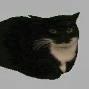 Spinning Cat Clicker icon