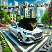 Spinning Cat Real Driving icon