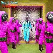 Squid Maze Challenge icon