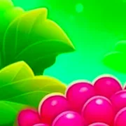Sweet Raspberry icon