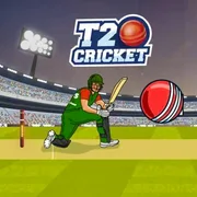 T20 Cricket icon