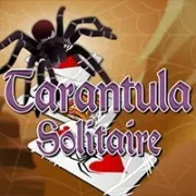 Tarantula Solitaire icon