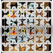 Tigers Picture Scramble Challenge icon