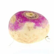 Turnip icon
