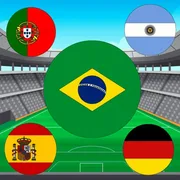 World Cup Flag Match icon