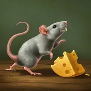 You Have To Eat Cheese icon